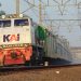 Megaproyek Kereta Api Trans Kalimantan 2.772 KM: Menakar Kekuatan Tiang Pancang di Atas Lahan Gambut